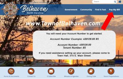 Online bill pay account information