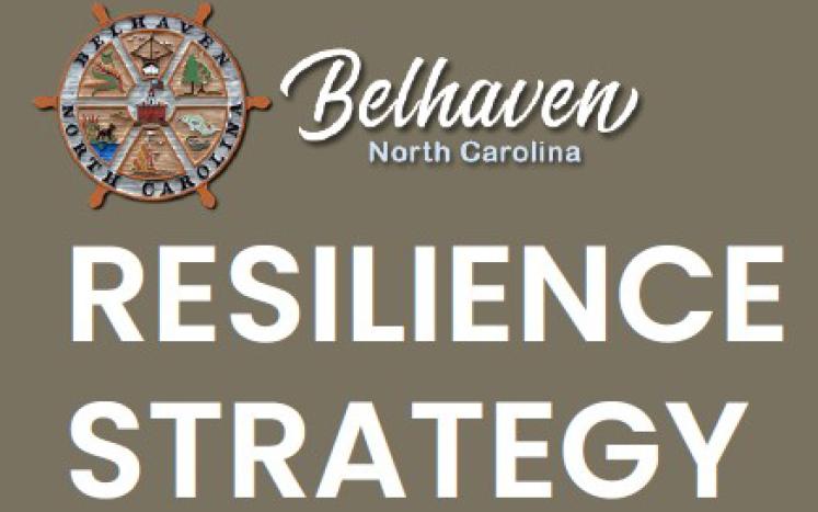 Resilience Strategy